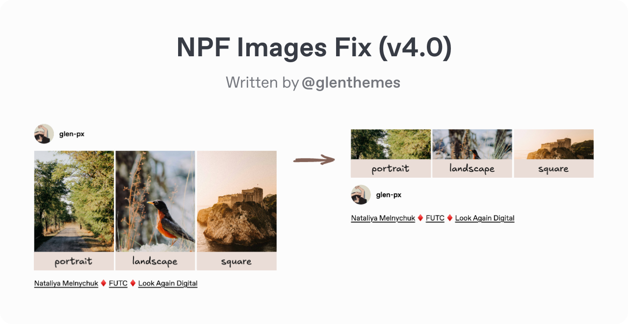 Banner titled "NPF Images Fix (v4.0)" with a subtitle that reads "written by @glenthemes". What follows is a comparison of two screenshots of an example post displaying how the same post looks before and after the NPF images v4 fix has been applied. The post is by user glen-px which consists of three images laid out in a single row, each consisting of different heights; the first is portrait, the second is landscape, and the third is square. In the first screenshot, the user header appears first, followed by the photoset that has been vertically stretched to take on the height of the tallest image in that row, followed by the caption text. In the second screenshot, the photoset appears first, significantly shorter in height as it takes the height of the shortest column in that row , mimicking that of the Tumblr dashboard. Underneath the photoset sits the user header, then the caption text. A brown arrow points from the first screenshot to the second one.
